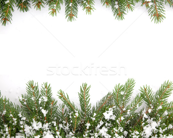 Karácsony váz hó izolált fehér erdő Stock fotó © bloodua