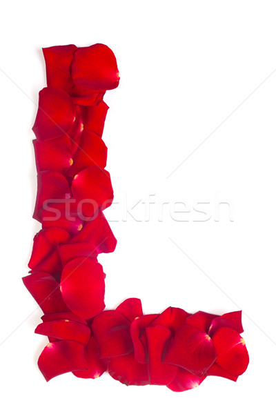 Letter L made from red petals rose on white Stock photo © bloodua