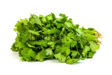 Parsley tied in a bunch with twine isolated Stock photo © bloodua