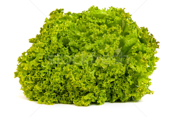 Fresh Green Lettuce isolated on white Stock photo © bloodua