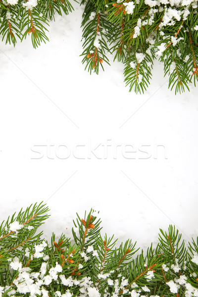 Stok fotoğraf: Noel · kar · yalıtılmış · beyaz · orman