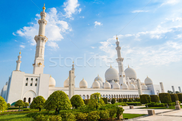 Mezquita Abu Dhabi ciudad unidad Oriente Medio Emiratos Árabes Unidos Foto stock © bloodua