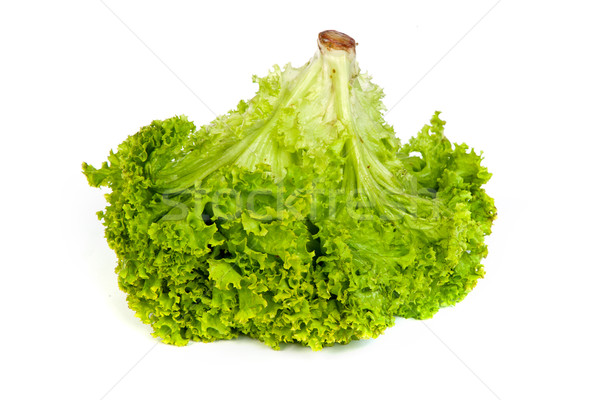 Fresh Green Lettuce isolated on white Stock photo © bloodua