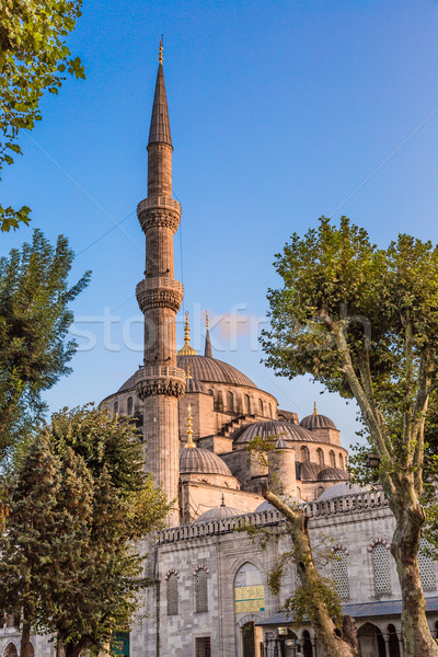 The Blue Mosque, (Sultanahmet Camii), Istanbul, Turkey Stock photo © bloodua