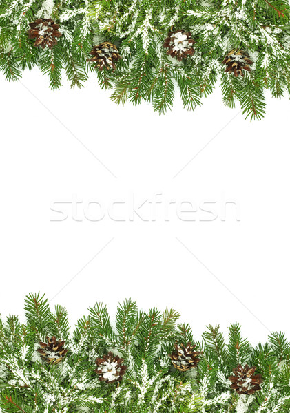 Zdjęcia stock: Christmas · struktura · śniegu · odizolowany · biały · zielone