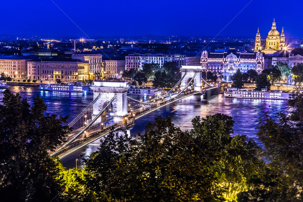 Panorama Budapest Hungría cadena puente río Foto stock © bloodua