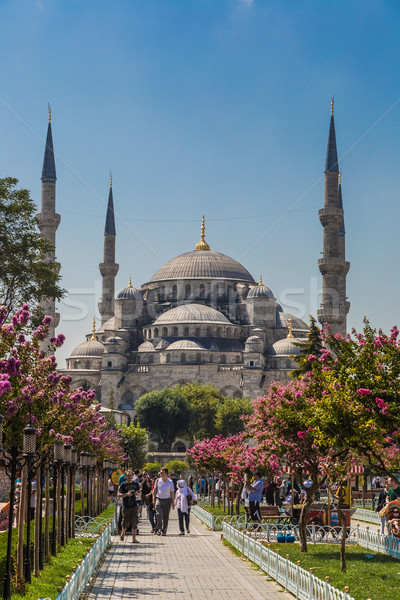 The Blue Mosque, (Sultanahmet Camii), Istanbul, Turkey Stock photo © bloodua