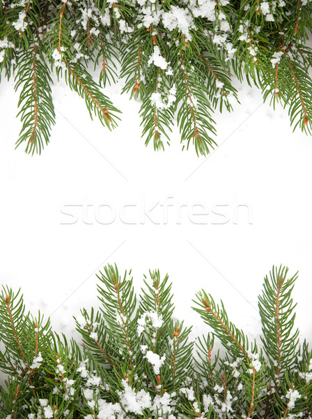 Stockfoto: Christmas · sneeuw · geïsoleerd · witte · bos