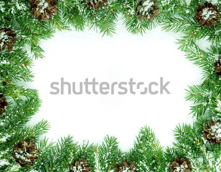 Christmas framework with snow and cones Stock photo © bloodua