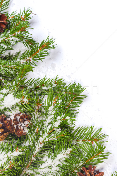 Natale neve isolato bianco albero Foto d'archivio © bloodua