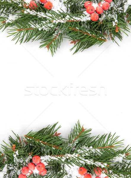 Zdjęcia stock: Christmas · struktura · śniegu · Berry · odizolowany · biały