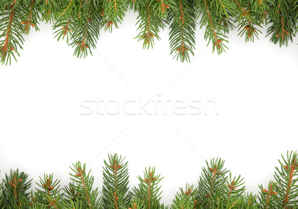 クリスマス フレームワーク 緑 孤立した 白 森林 ストックフォト © bloodua
