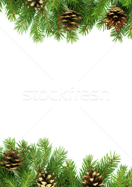 Christmas framework with snow and cones Stock photo © bloodua
