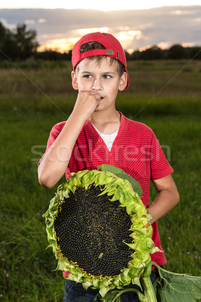 Young happy boy hold sunflower in a garden Stock photo © bloodua