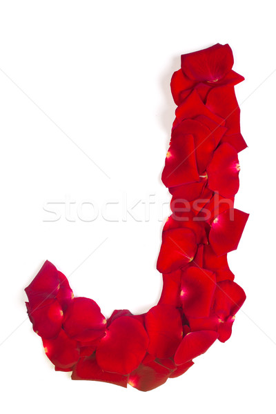 Letter J made from red petals rose on white Stock photo © bloodua