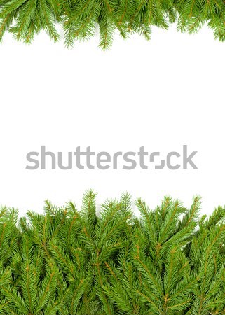 Christmas framework Stock photo © bloodua