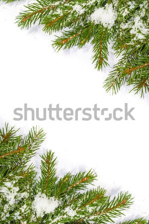 Natale verde isolato bianco sfondo Foto d'archivio © bloodua