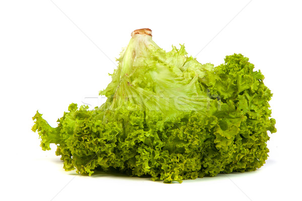 Fresh Green Lettuce isolated on white Stock photo © bloodua