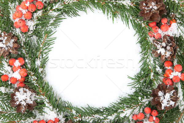 Stockfoto: Christmas · groene · sneeuw · bes · geïsoleerd