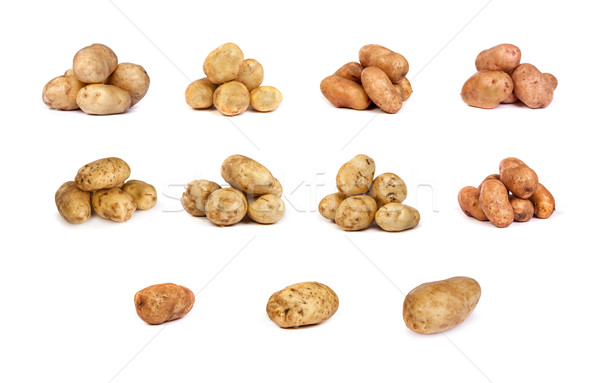 set of potatoes isolated on white Stock photo © bloodua