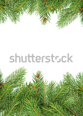 Christmas framework Stock photo © bloodua