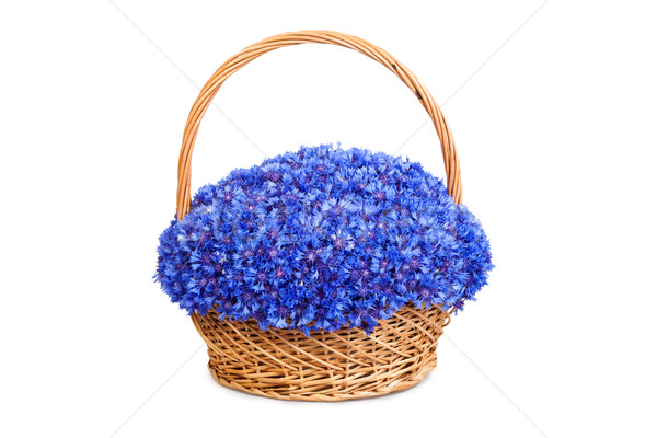 Stock photo: Beautiful blue cornflowers in a basket