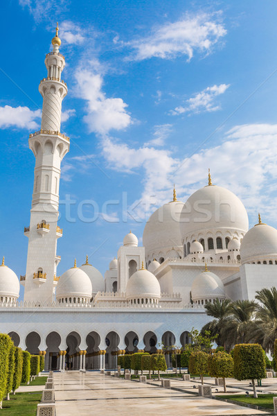 Mezquita Oriente Medio Emiratos Árabes Unidos Abu Dhabi ciudad cielo Foto stock © bloodua