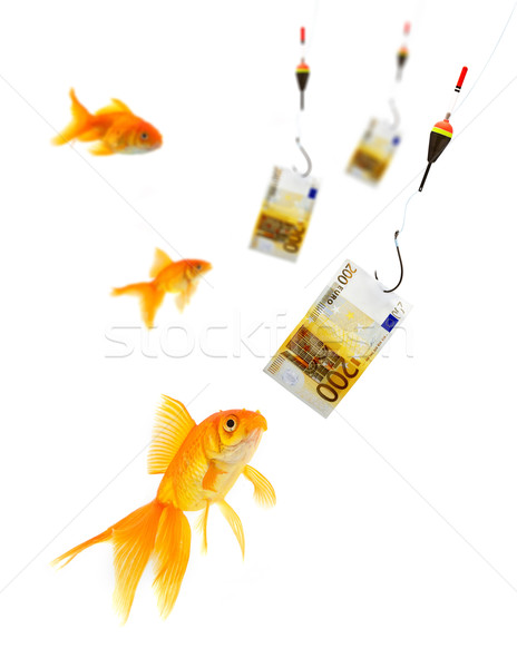 Aranyhal akvárium fehér hal üveg pénzügy Stock fotó © bloodua