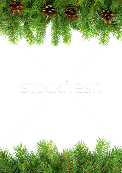 クリスマス フレームワーク 緑 孤立した 白 自然 ストックフォト © bloodua