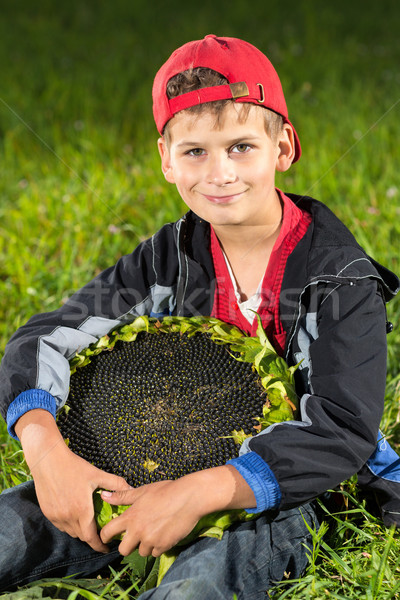 Young happy boy hold sunflower in a garden Stock photo © bloodua