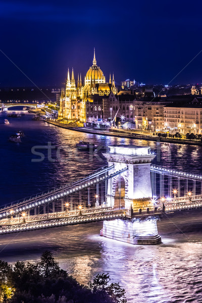 Panorama Budapest Hungría cadena puente río Foto stock © bloodua