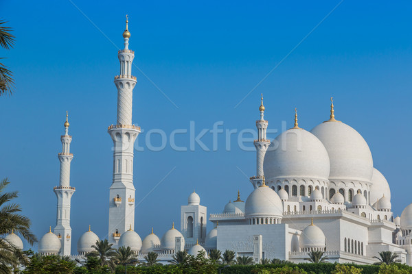 Mezquita Oriente Medio Emiratos Árabes Unidos Abu Dhabi ciudad cielo Foto stock © bloodua