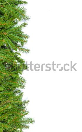 Weihnachten Rahmen grünen isoliert weiß Hintergrund Stock foto © bloodua
