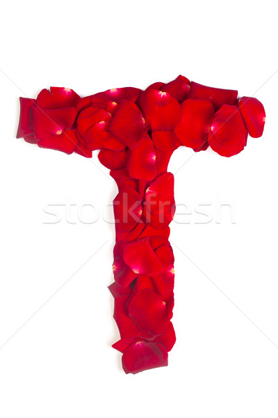 Letter T made from red petals rose on white Stock photo © bloodua