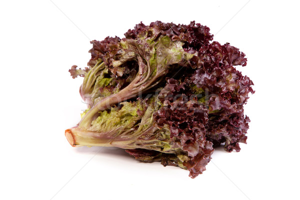 Fresh red Lettuce isolated on white Stock photo © bloodua