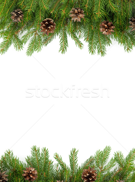 クリスマス フレームワーク 緑 孤立した 白 背景 ストックフォト © bloodua