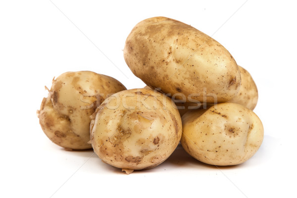 Group of potatoes isolated on white Stock photo © bloodua