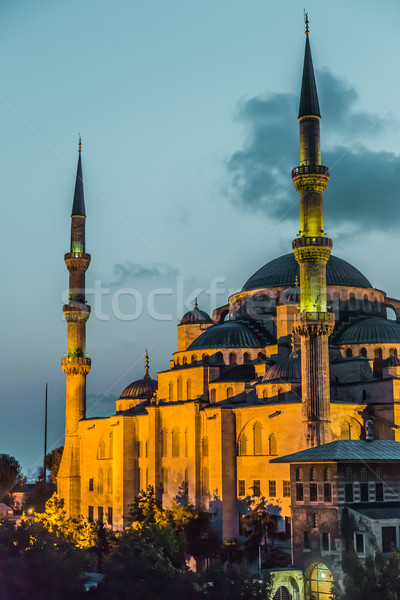 Sultan Ahmed Mosque (the Blue Mosque), Istanbul, Turkey Stock photo © bloodua