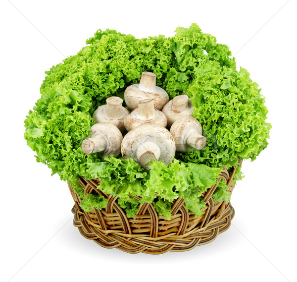 Champignon proaspăt apetisant ciuperci coş alb Imagine de stoc © bloodua