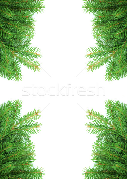 Christmas struktura zielone odizolowany biały charakter Zdjęcia stock © bloodua