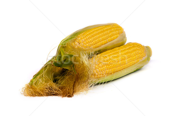 Fresh uncooked corn on the cob Stock photo © bloodua