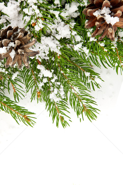 Karácsony váz hó izolált fehér boldog Stock fotó © bloodua