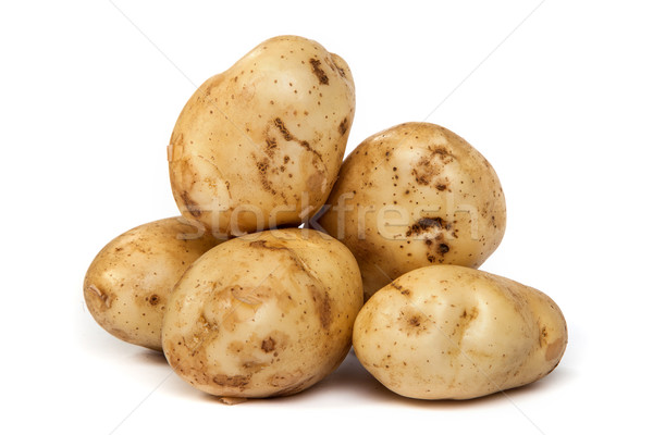 Group of potatoes isolated on white Stock photo © bloodua