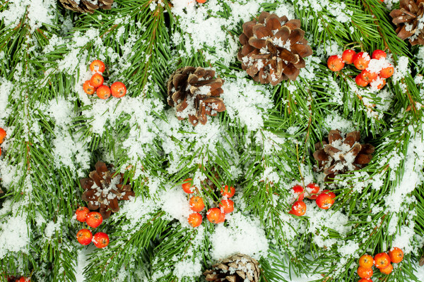 Natal quadro neve baga isolado branco Foto stock © bloodua