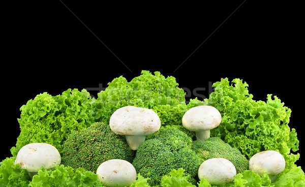 Champignon on a lettuce Stock photo © bloodua