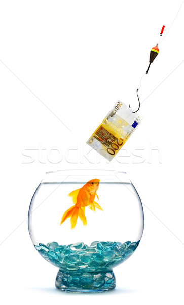[[stock_photo]]: Goldfish · aquarium · blanche · poissons · verre · Finance