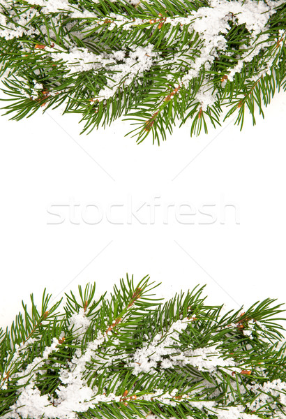 Zdjęcia stock: Christmas · struktura · śniegu · odizolowany · biały · drzewo