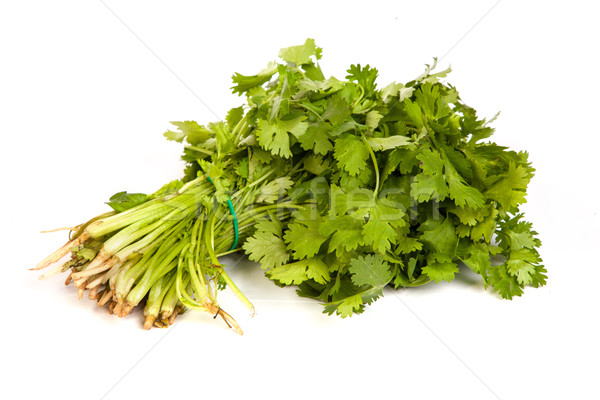 Parsley tied in a bunch with twine isolated Stock photo © bloodua