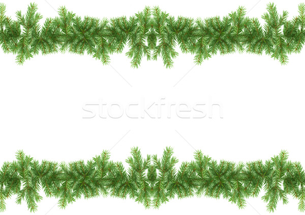 Karácsony váz zöld izolált fehér természet Stock fotó © bloodua