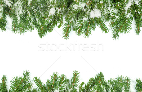 Natal quadro neve isolado branco natureza Foto stock © bloodua